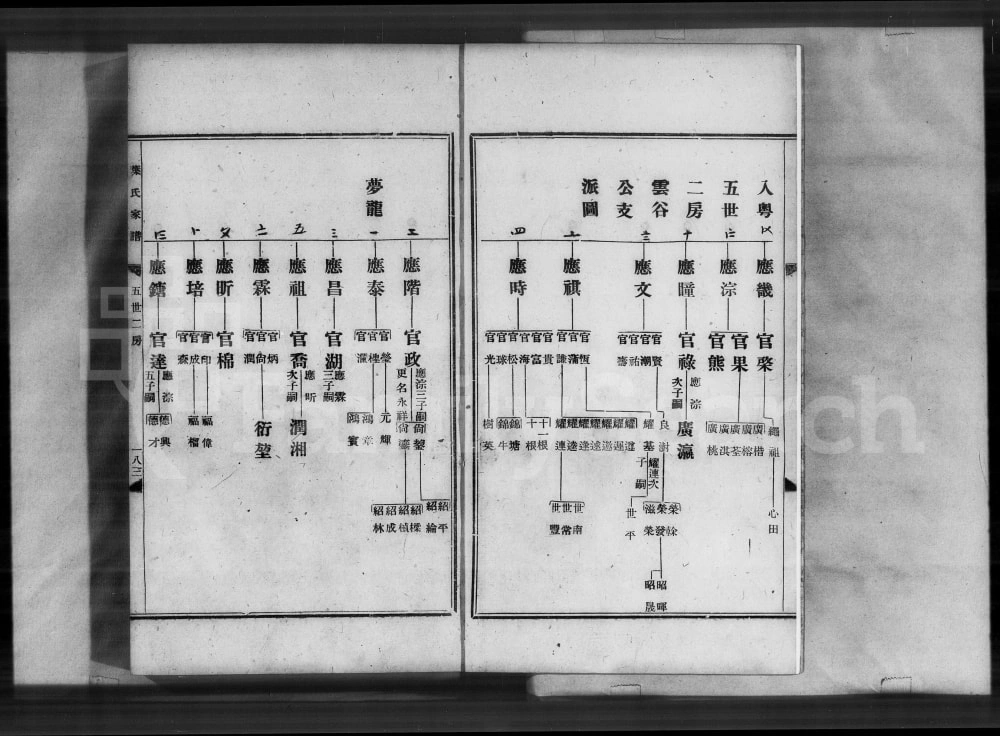 图片[8]-广东广州叶氏家谱电子版PDF下载-中华家谱网