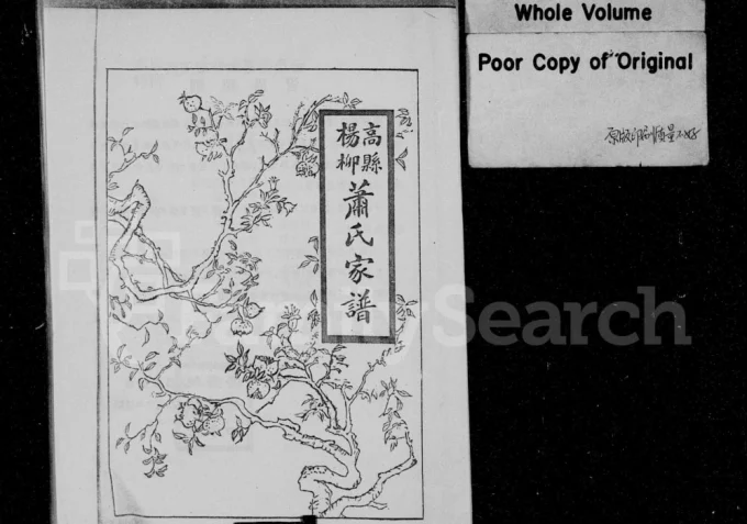 四川宜宾高县杨柳萧(肖)氏家谱电子版PDF下载-中华家谱网