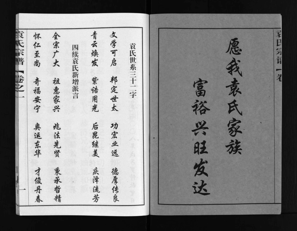 图片[4]-湖北黄冈袁氏宗谱（卧雪堂）电子版PDF下载-中华家谱网