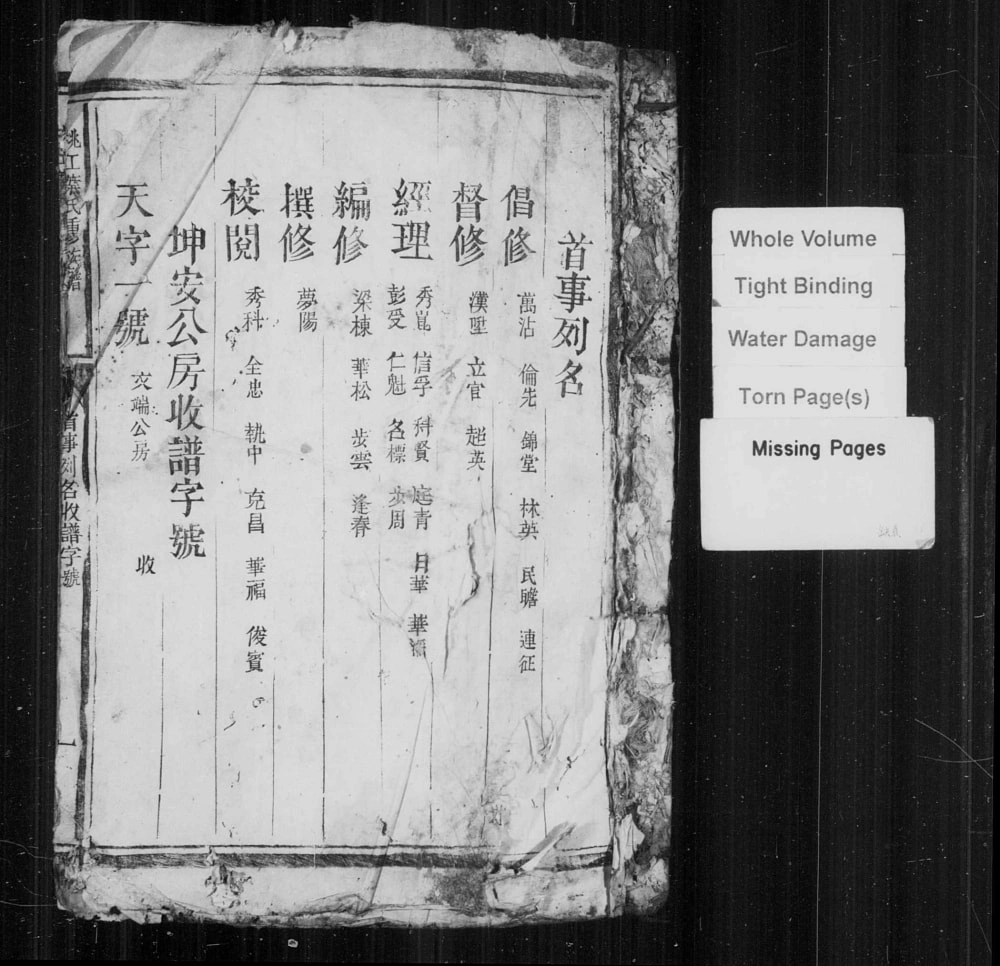 图片[1]-江西赣州信丰县桃江叶氏重修族谱电子版PDF下载-中华家谱网