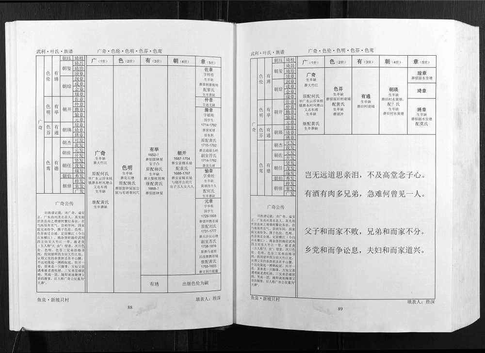 图片[8]-广西钦州灵山县武利叶氏族谱电子版PDF下载-中华家谱网