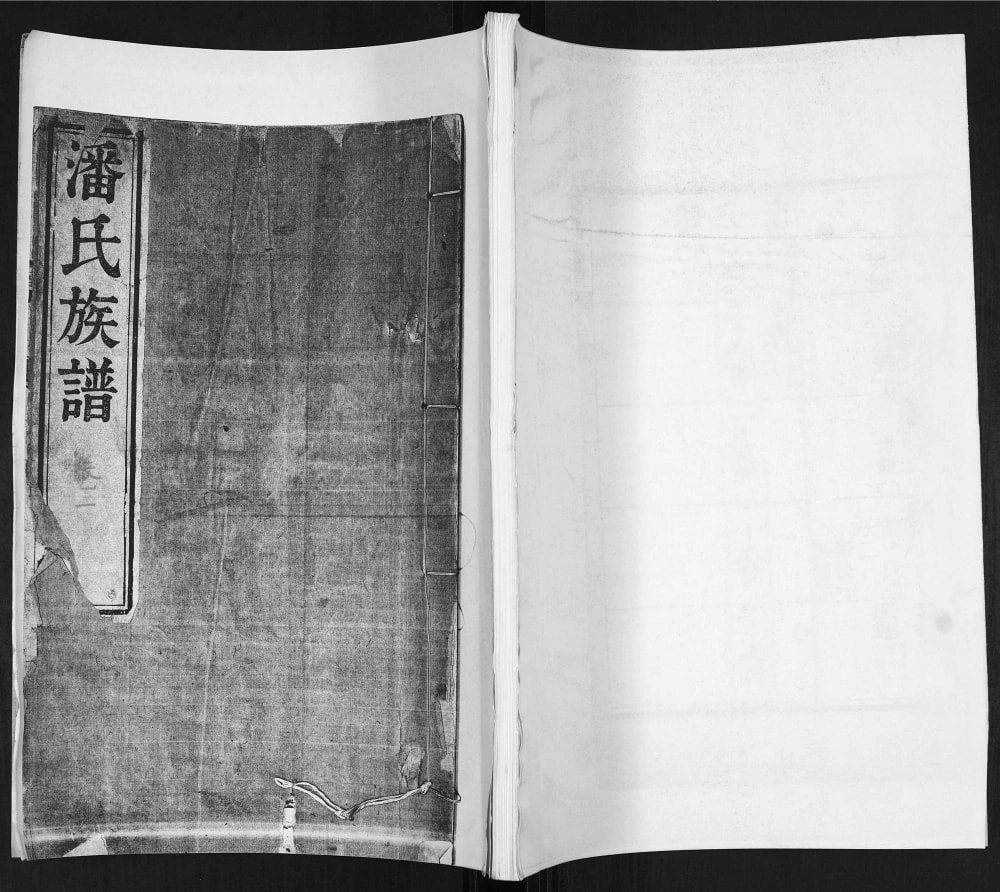 图片[1]-山东莱阳潘氏族谱（追远堂）电子版PDF下载-中华家谱网