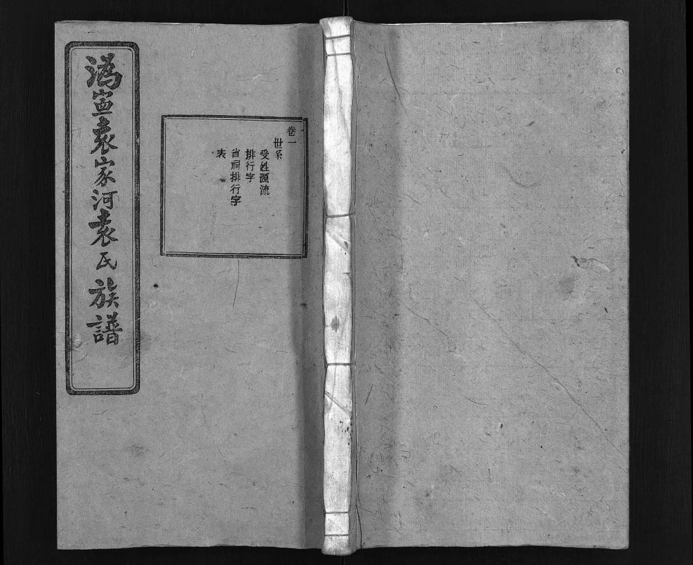 图片[1]-湖南宁乡沩宁袁家河袁氏族谱（汝南堂）电子版PDF下载-中华家谱网