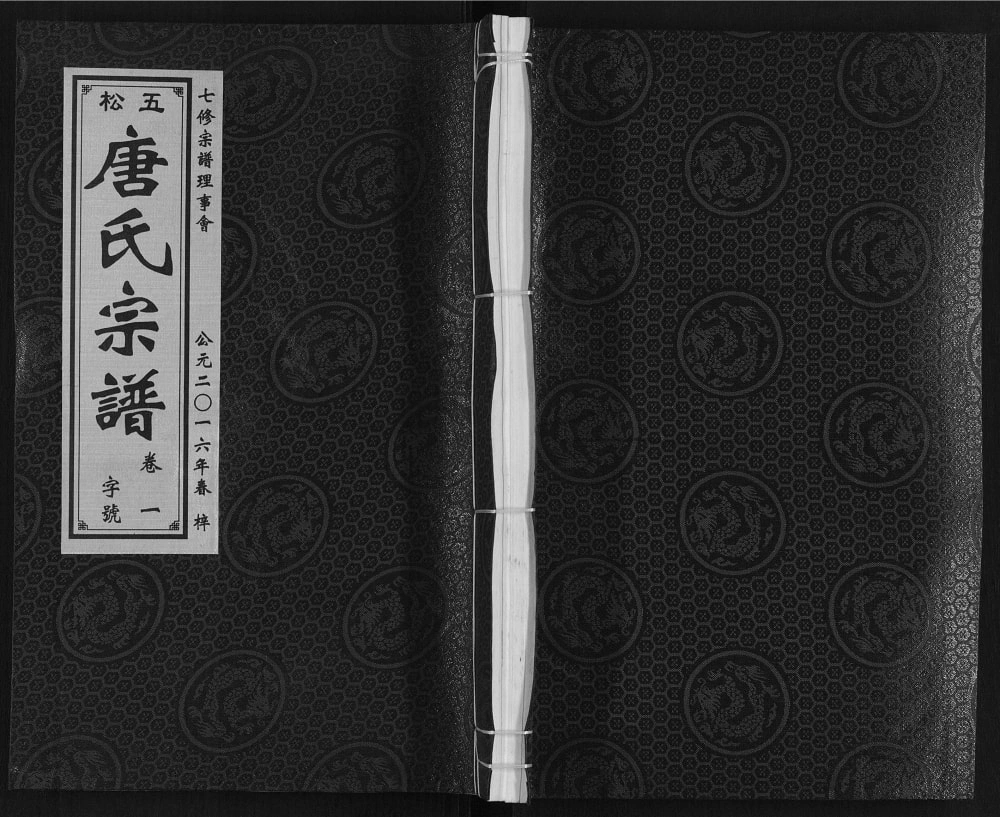 图片[1]-安徽铜陵五松唐氏宗谱（晋阳堂）电子版PDF下载-中华家谱网