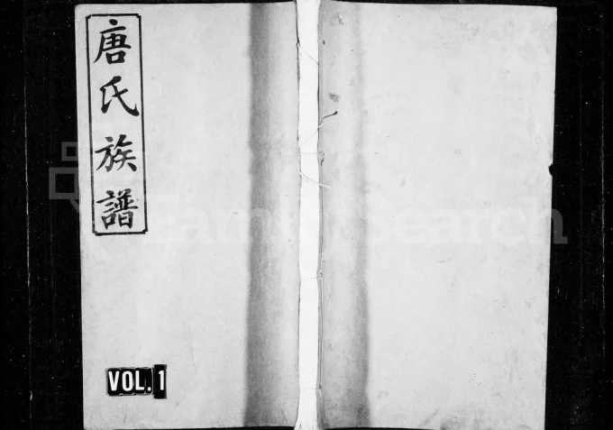 湖南浏阳浏南青山唐氏族谱（道德堂）电子版PDF下载-中华家谱网