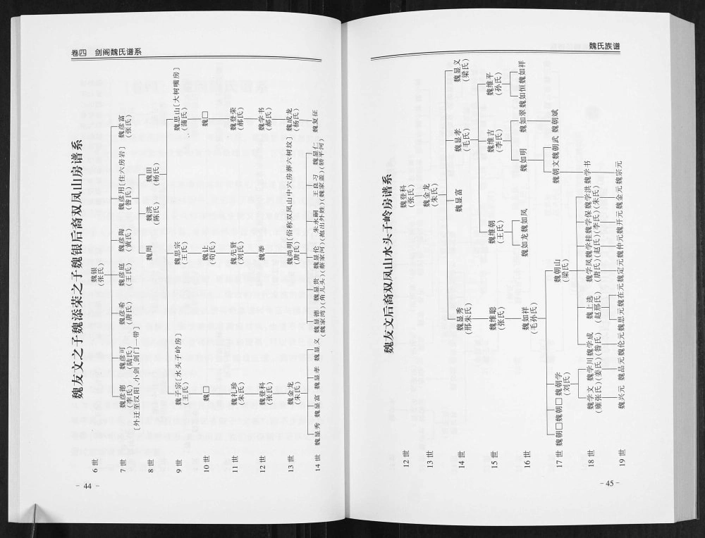 图片[4]-四川广元剑阁魏氏族谱电子版PDF下载-中华家谱网