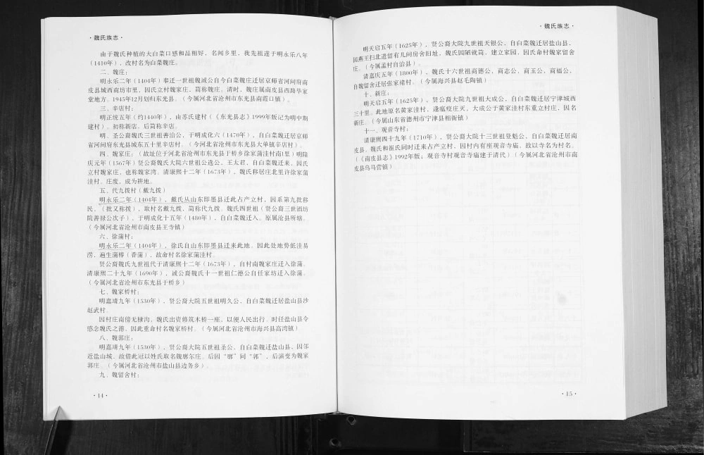 图片[3]-山东德州宁津魏氏族志（慈恩堂）电子版PDF下载-中华家谱网