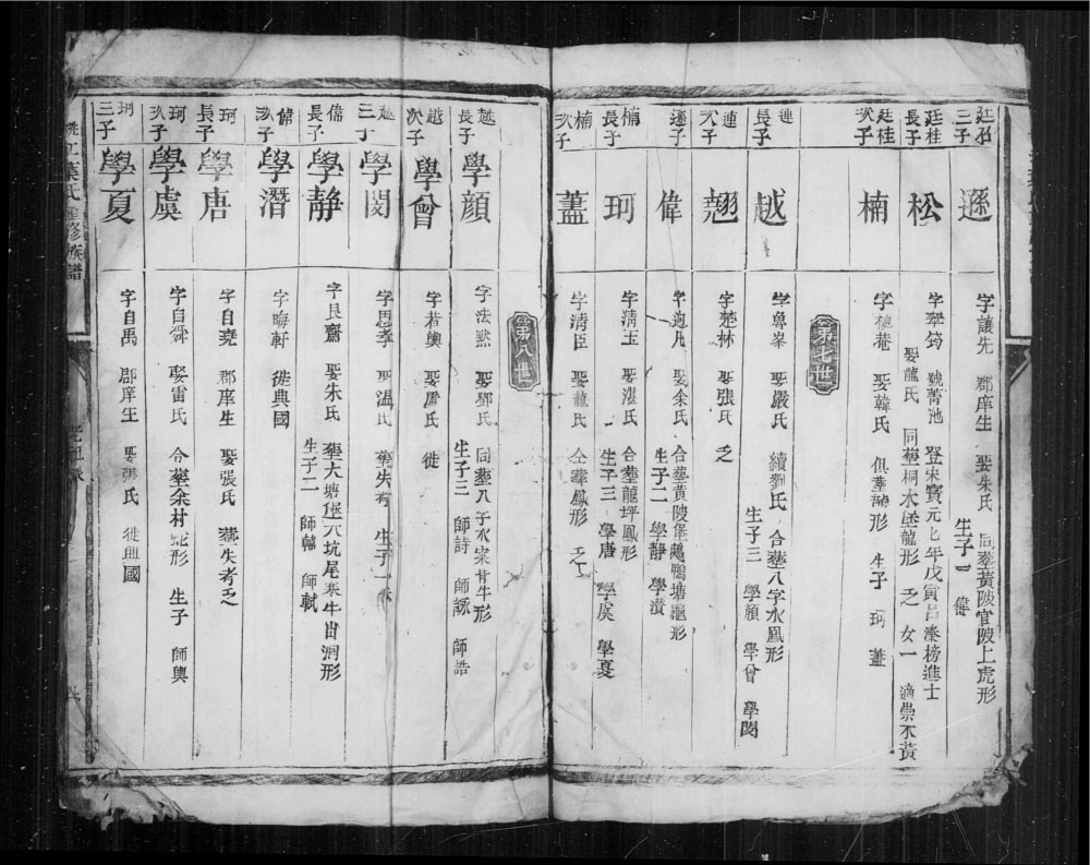 图片[6]-江西赣州信丰县桃江叶氏重修族谱电子版PDF下载-中华家谱网