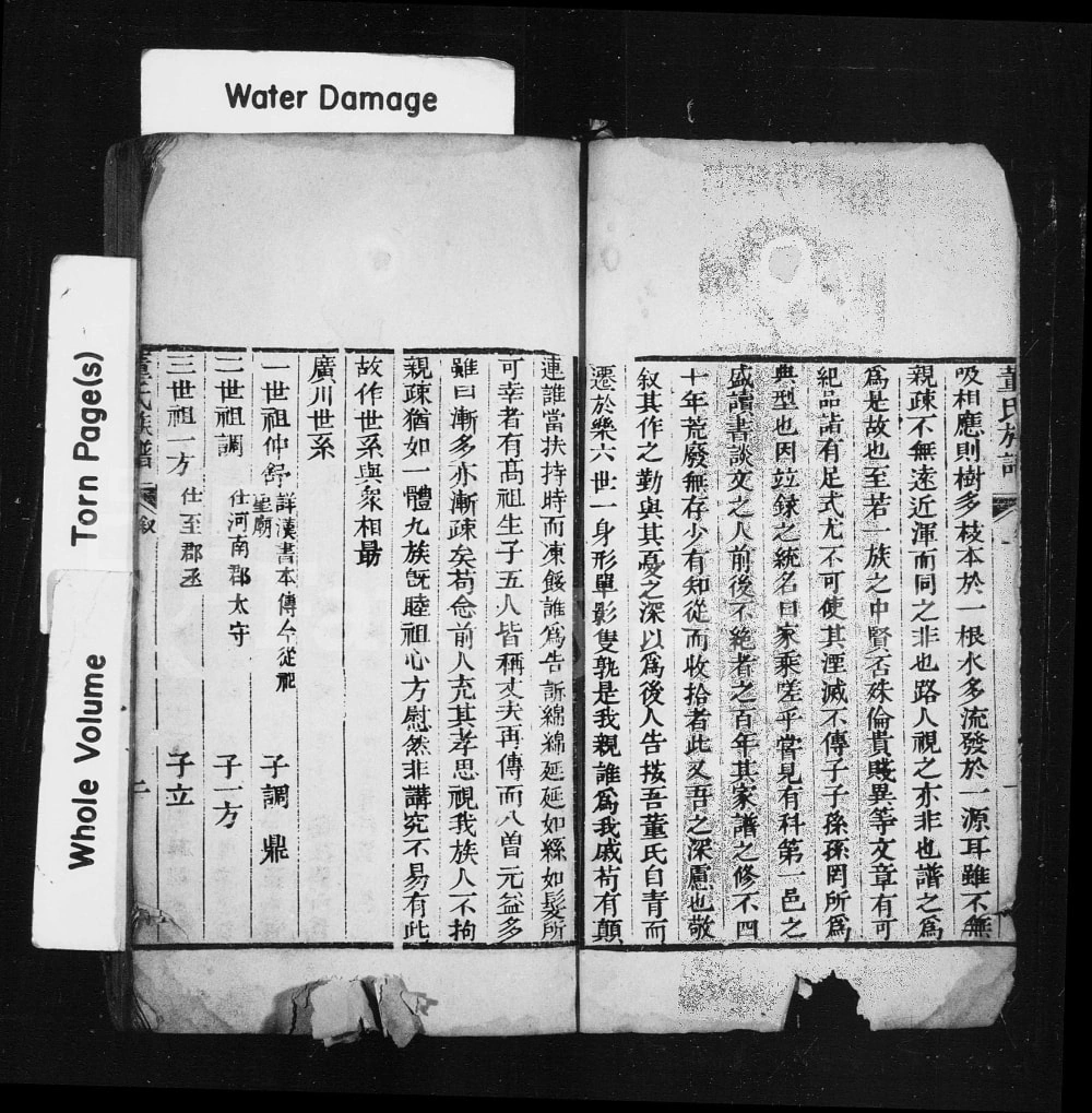 图片[2]-山东乐陵董氏家乘（正谊堂）电子版PDF下载-中华家谱网