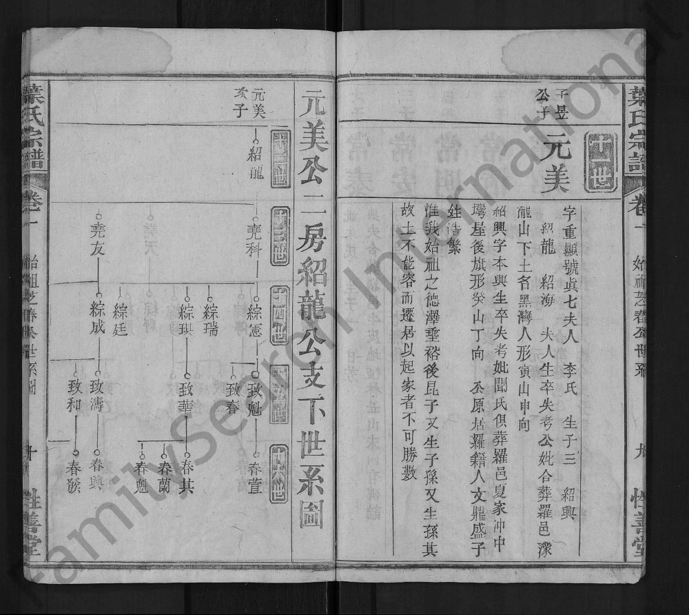 图片[6]-湖北麻城叶氏宗谱（性善堂）电子版PDF下载-中华家谱网