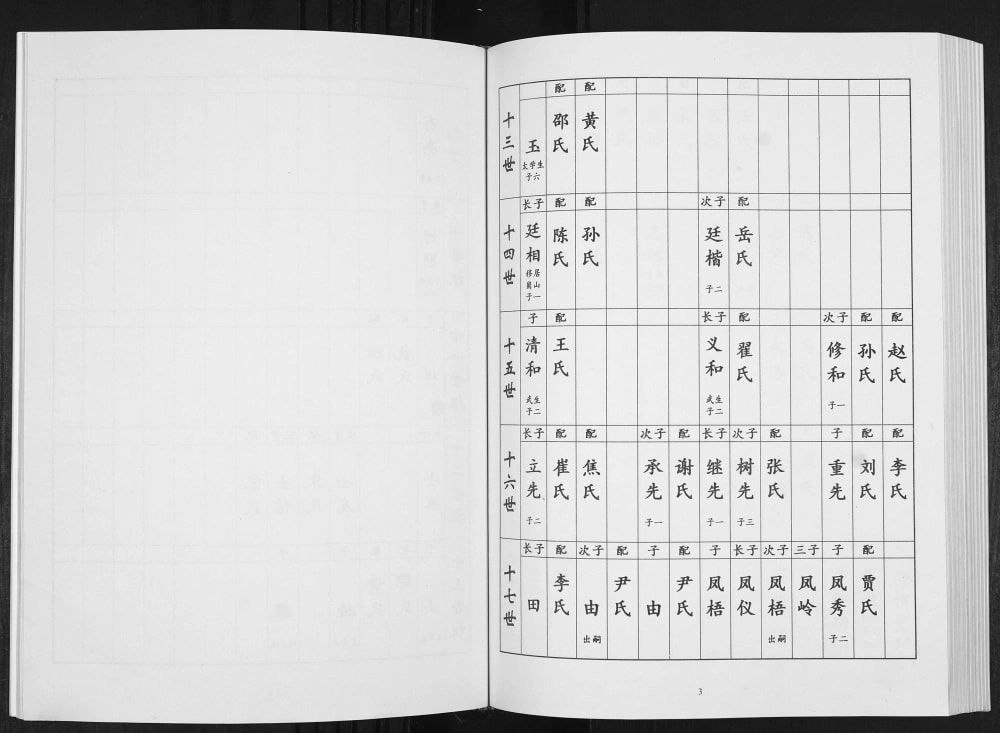 图片[8]-山东淄博许氏族谱博山茂岭支谱电子版PDF下载-中华家谱网