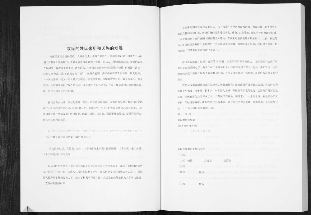 图片[3]-四川德阳中江县袁氏族谱电子版PDF下载-中华家谱网