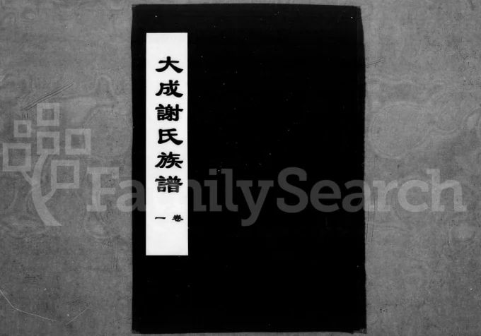 湖北应城大成谢氏族谱（宝树堂）电子版PDF下载-中华家谱网