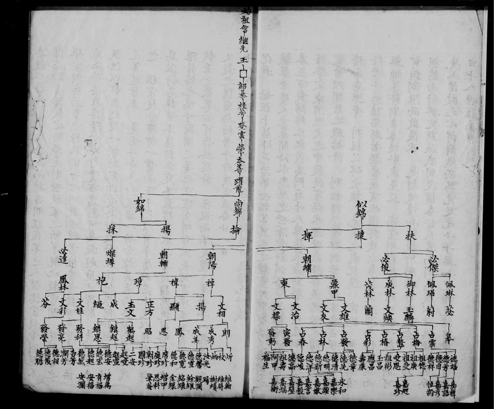 图片[2]-云南红河石屏县袁氏家谱电子版PDF下载-中华家谱网