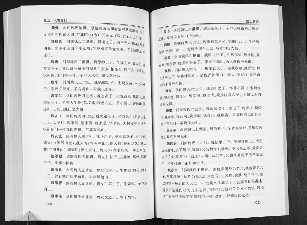图片[5]-四川广元剑阁魏氏族谱电子版PDF下载-中华家谱网