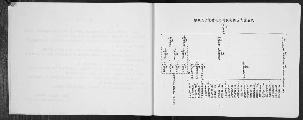 图片[4]-甘肃庆阳镇原县杜氏家谱电子版PDF下载-中华家谱网