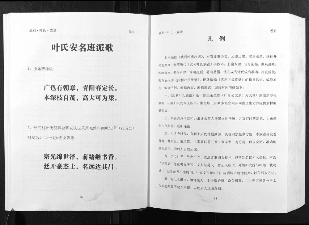 图片[6]-广西钦州灵山县武利叶氏族谱电子版PDF下载-中华家谱网