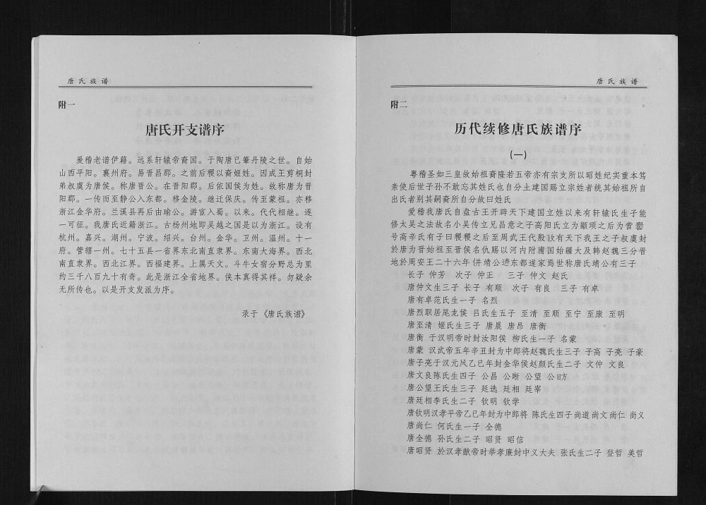 图片[5]-四川达州宣汉重庆开州区唐氏族谱电子版PDF下载-中华家谱网