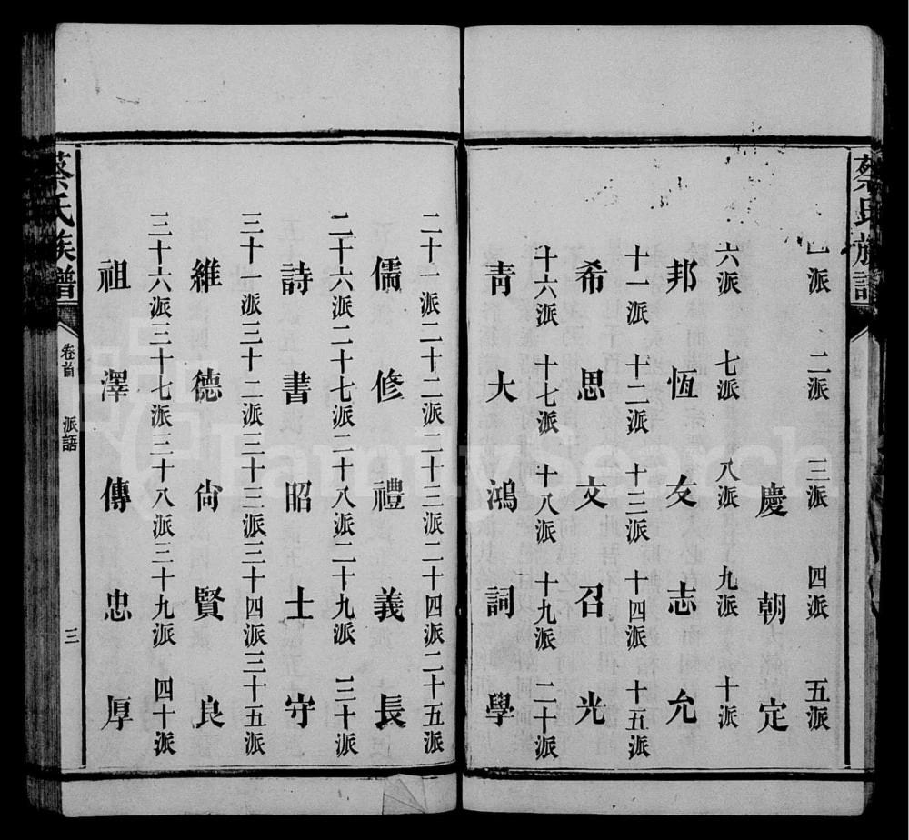 图片[3]-湖南益阳蔡氏族谱电子版PDF下载-中华家谱网