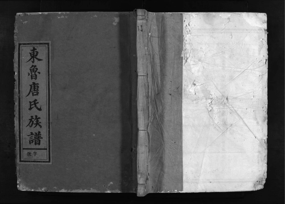 图片[1]-浙江兰溪兰江东鲁唐氏族谱（振德堂）电子版PDF下载-中华家谱网