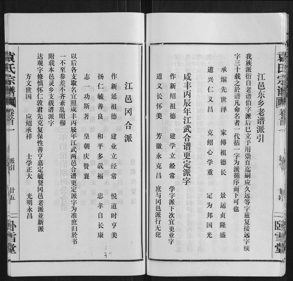 图片[4]-湖北武汉江夏区袁氏宗谱（卧雪堂）电子版PDF下载-中华家谱网