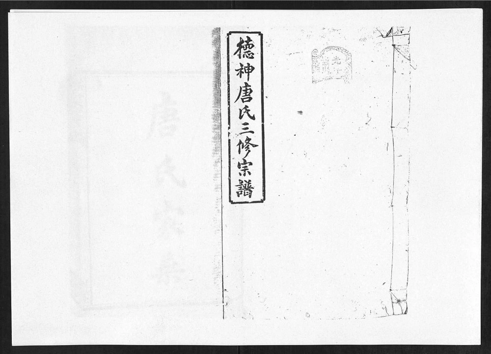 图片[1]-湖南衡阳德神唐氏三修宗谱（树德堂）电子版PDF下载-中华家谱网