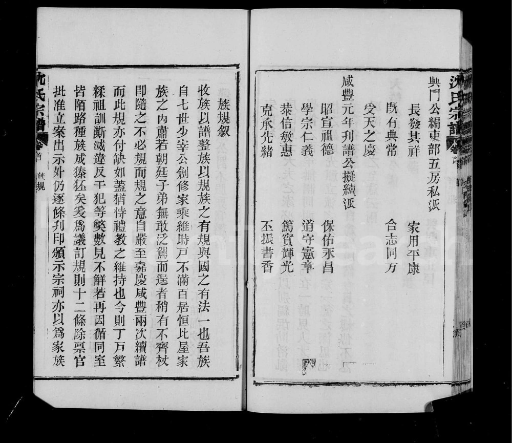 图片[5]-湖北孝感澴川沈氏宗谱电子版PDF下载-中华家谱网