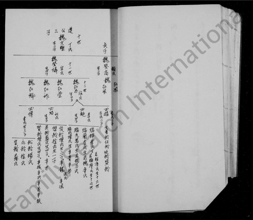 图片[6]-四川资阳魏氏族谱电子版PDF下载-中华家谱网