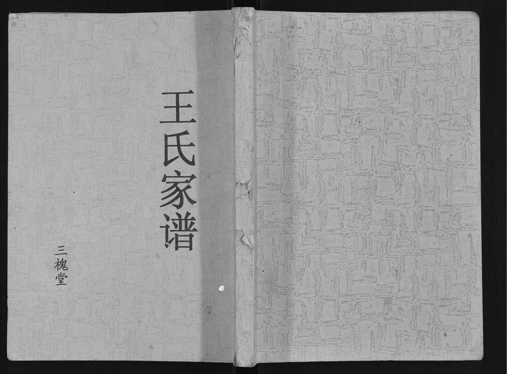 图片[1]-江苏盐城阜宁王氏家谱（三槐堂）电子版PDF下载-中华家谱网