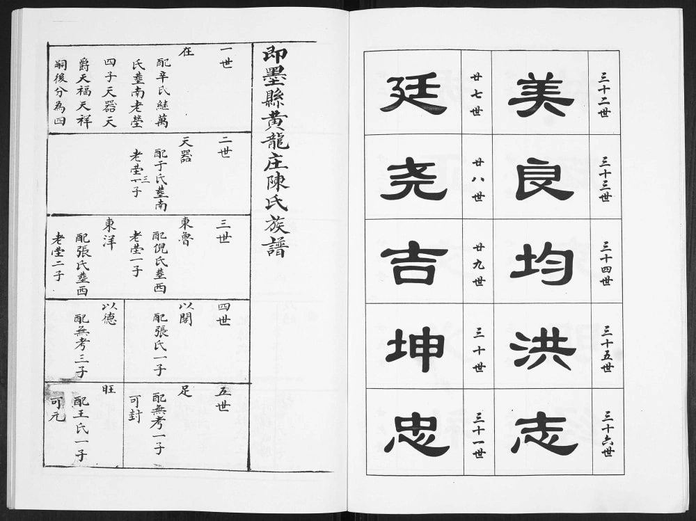 图片[6]-山东青岛即墨黄龙庄陈氏族谱电子版PDF下载-中华家谱网