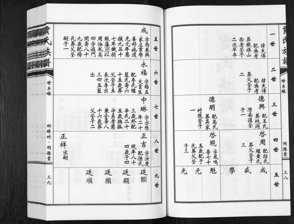 图片[4]-山东青岛城阳区贾氏族谱（同德堂）电子版PDF下载-中华家谱网