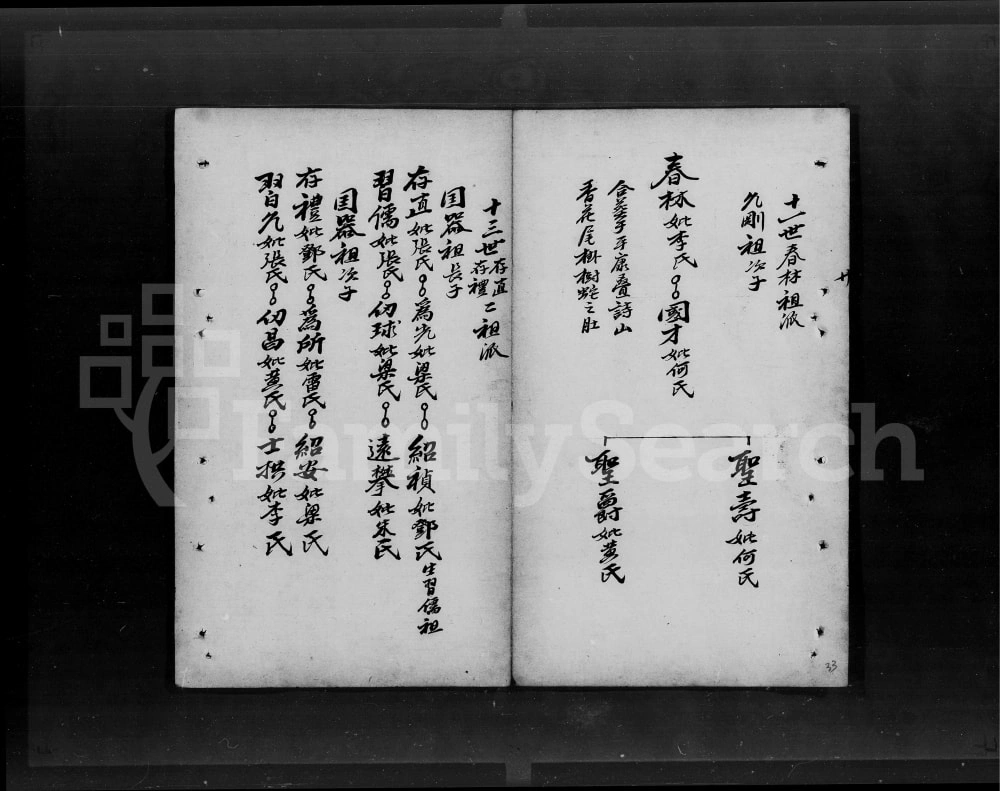 图片[4]-广东开平谭氏家谱电子版PDF下载-中华家谱网