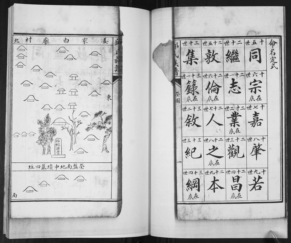 图片[2]-山东青岛即墨邱家白庙邱氏族谱电子版PDF下载-中华家谱网
