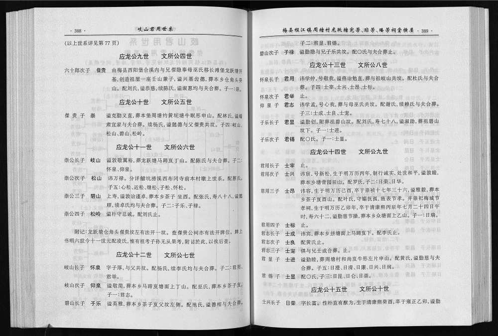 图片[7]-广东梅州梅县邹氏族谱 （六十朗公世系）电子版PDF下载-中华家谱网