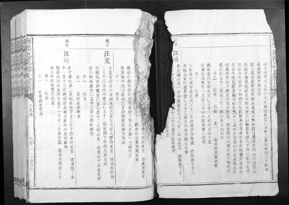 图片[8]-江西抚州乐安县抚乐池溪谭氏族谱电子版PDF下载-中华家谱网