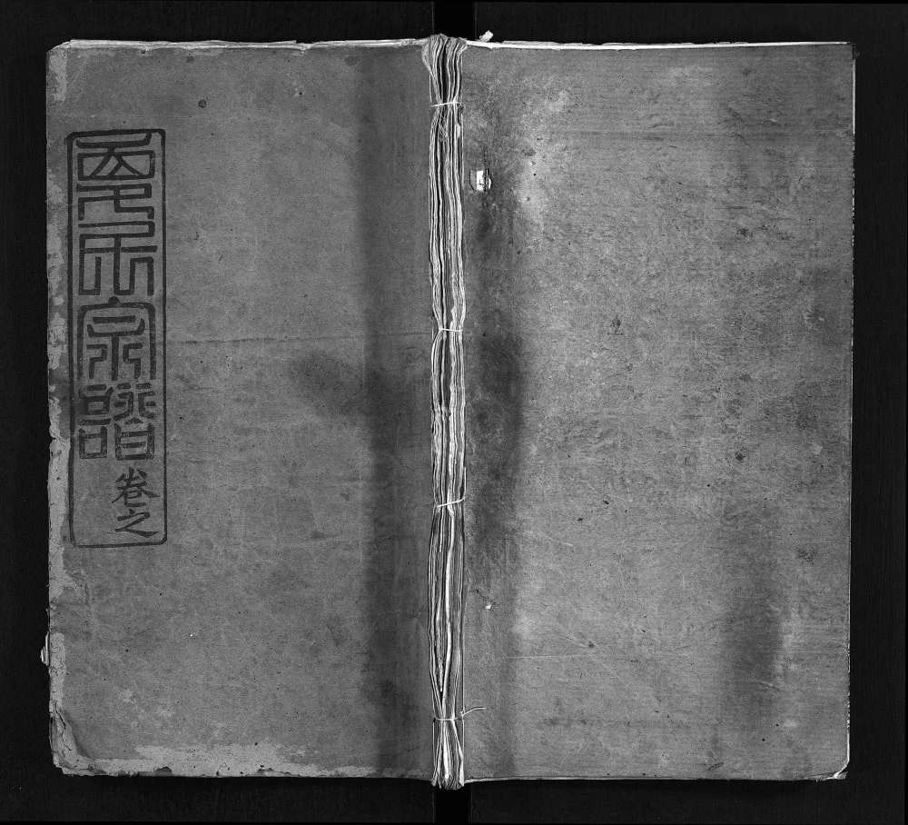 图片[1]-湖北黄冈麻城夏氏宗谱（清溪堂）电子版PDF下载-中华家谱网