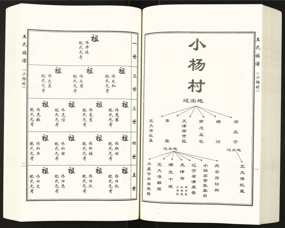 图片[7]-河北沧州盐山县唐家堡王常丰村王氏族谱电子版PDF下载-中华家谱网