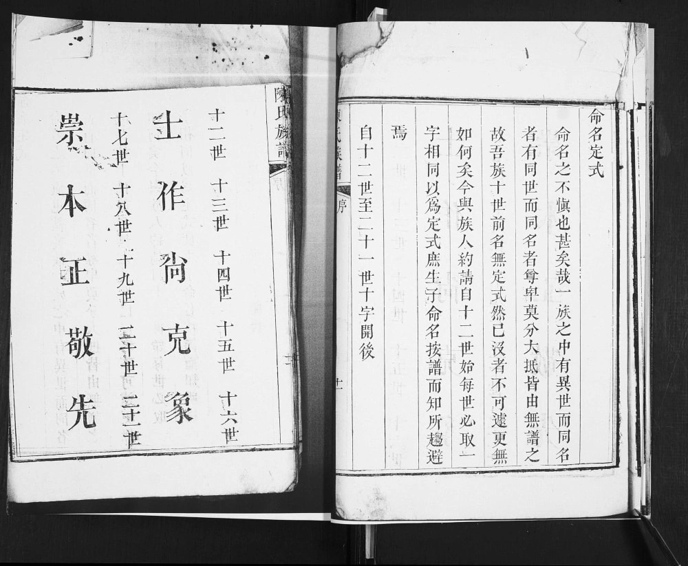 图片[3]-山东青岛城阳区陈氏族谱（时思堂）电子版PDF下载-中华家谱网