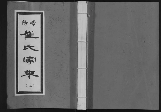 山东枣庄峄阳崔氏家乘电子版PDF下载-中华家谱网