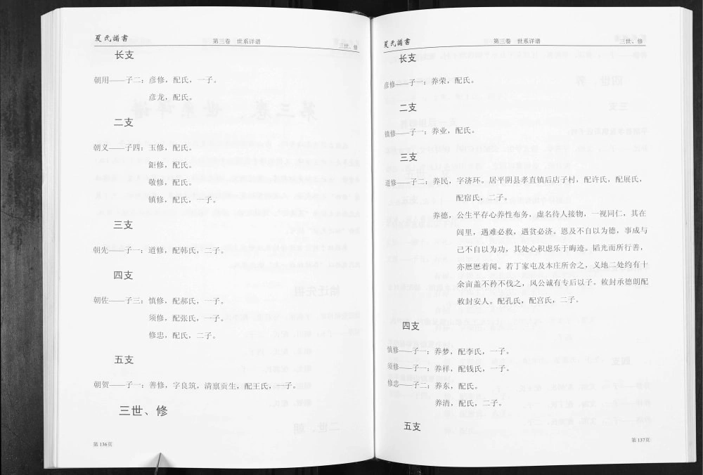 图片[4]-山东济南平阴店子夏氏谱书附家族纪事电子版PDF下载-中华家谱网