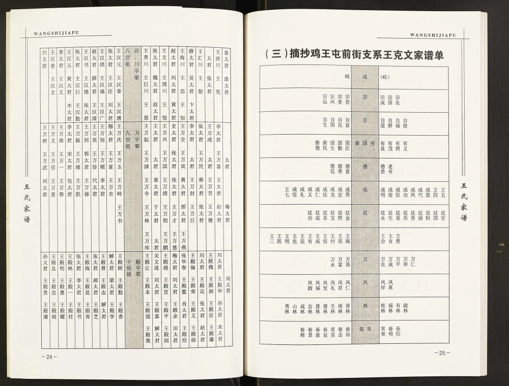 图片[7]-辽宁海城王氏家谱周正堡支系电子版PDF下载-中华家谱网