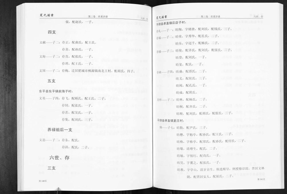 图片[6]-山东济南平阴店子夏氏谱书附家族纪事电子版PDF下载-中华家谱网