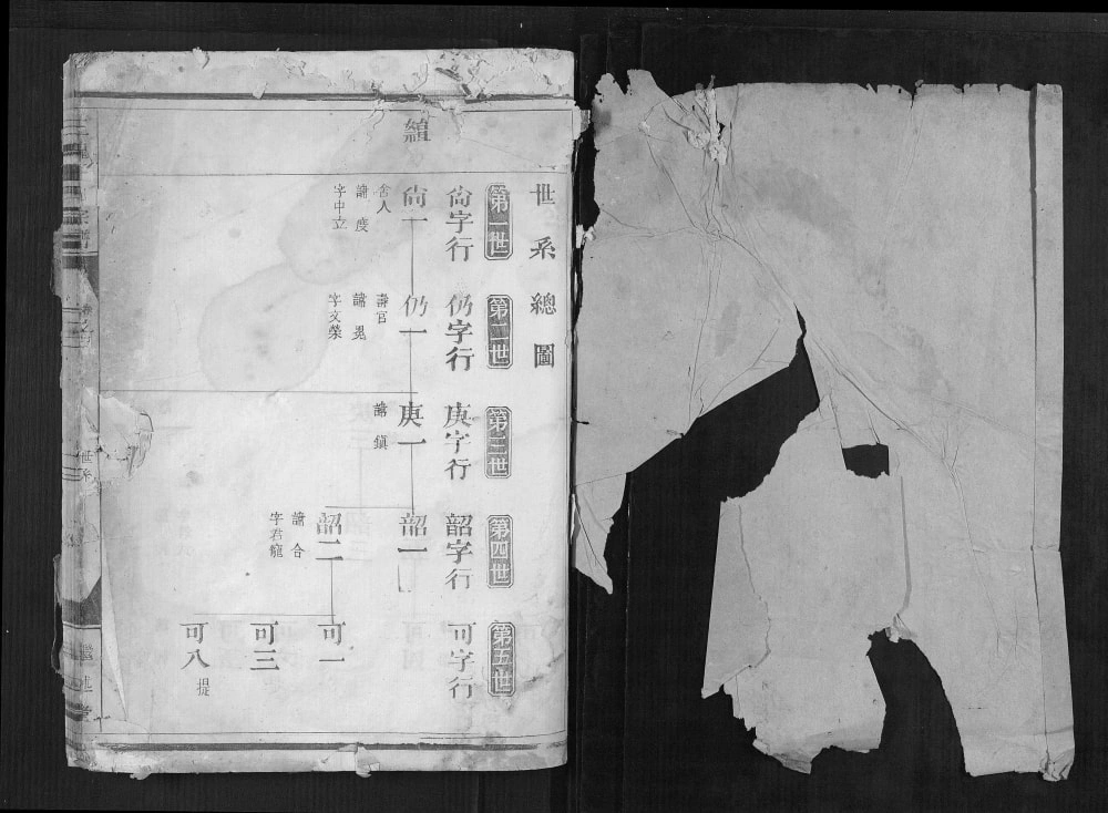 图片[3]-浙江金华三槐王氏宗谱（继述堂）电子版PDF下载-中华家谱网
