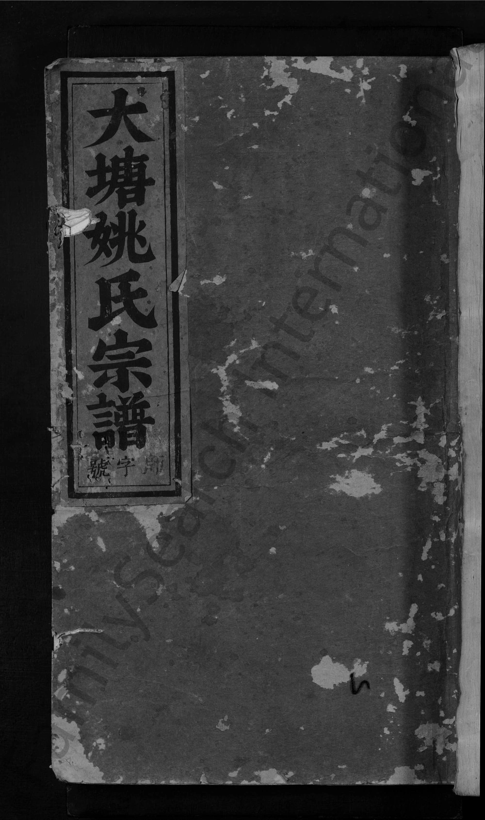 图片[1]-浙江东阳大塘姚氏宗谱电子版PDF下载-中华家谱网