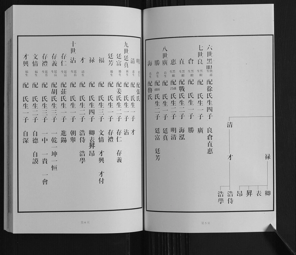 图片[7]-山东龙口黄县琅琊王氏族谱电子版PDF下载-中华家谱网