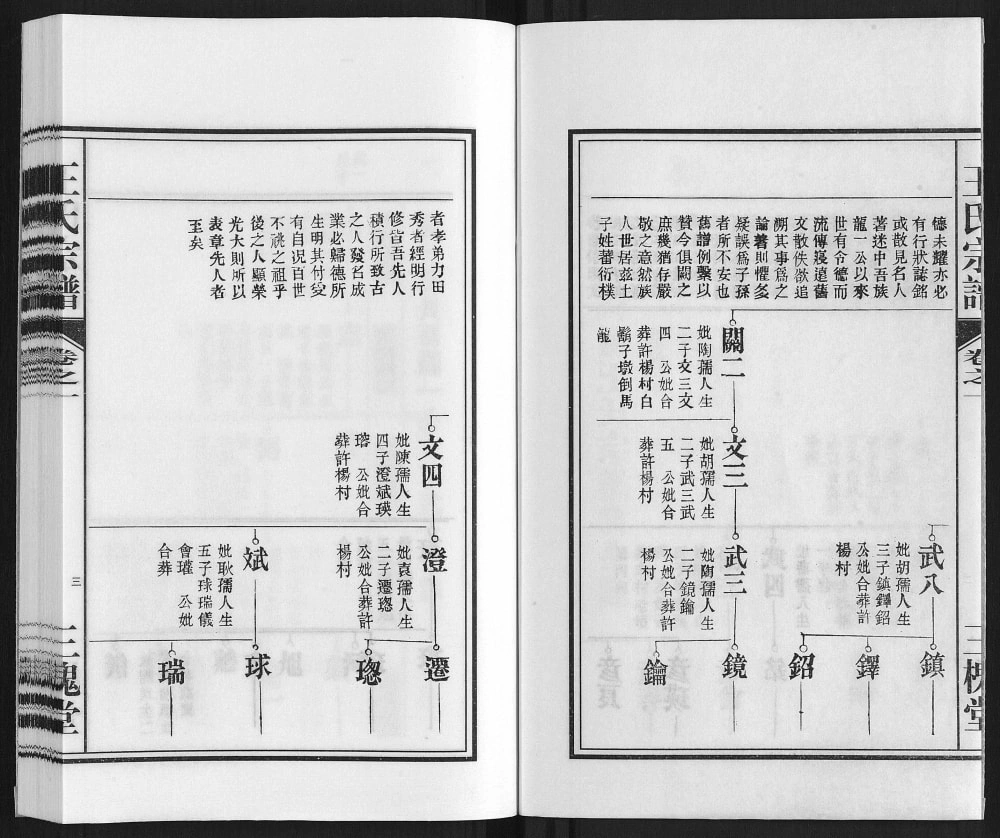 图片[7]-安徽合肥庐江县桃源王氏宗谱（三槐堂）电子版PDF下载-中华家谱网