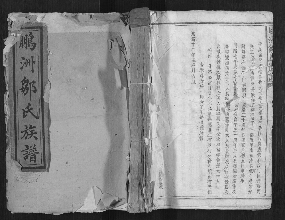 图片[1]-江西抚州乐安县鹏洲邹氏族谱电子版PDF下载-中华家谱网