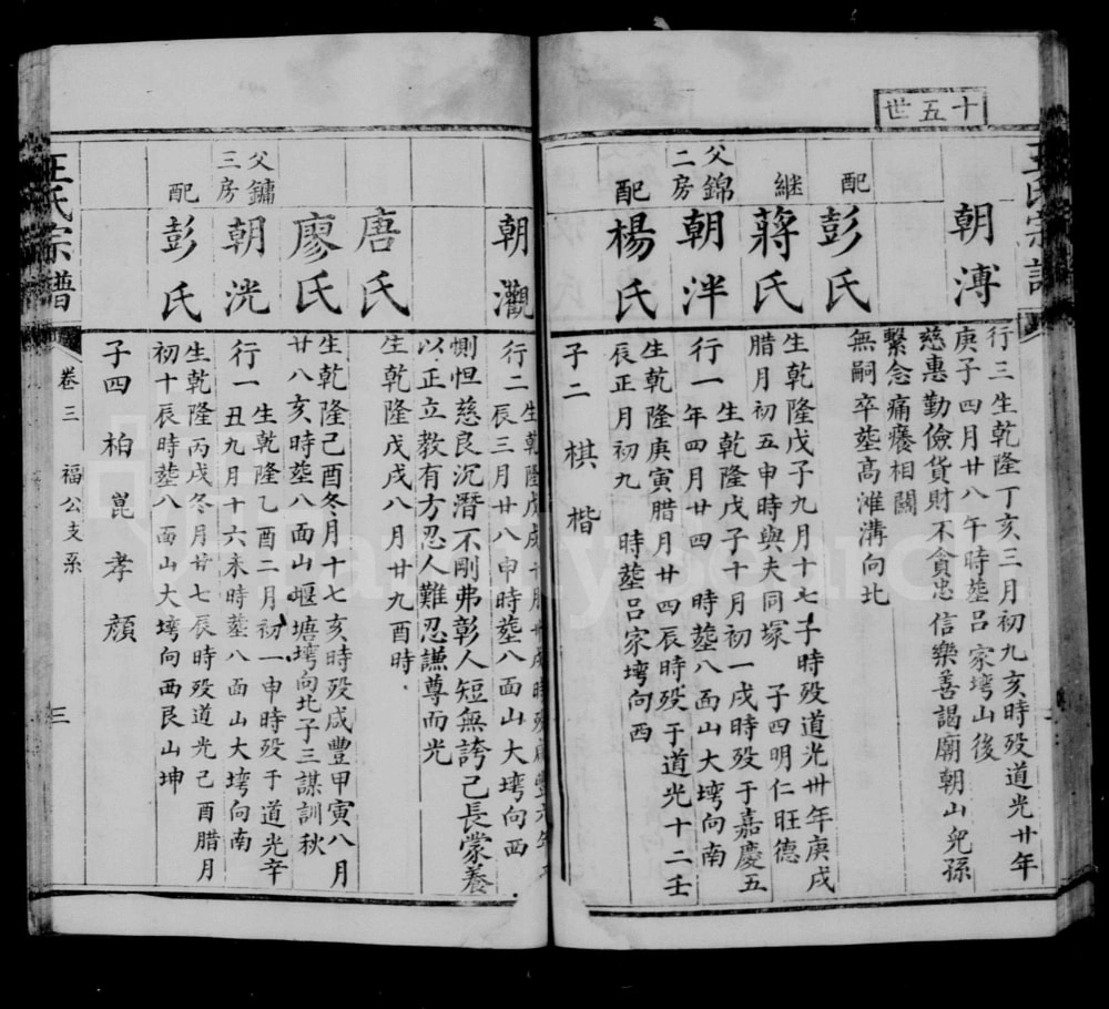 图片[8]-四川简阳王氏宗谱电子版PDF下载-中华家谱网