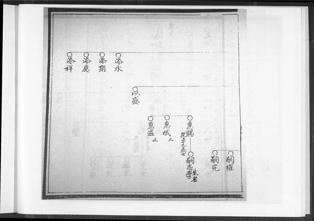 图片[6]-福建石狮市龙塘王氏后山房顶厝衙内柱家谱电子版PDF下载-中华家谱网