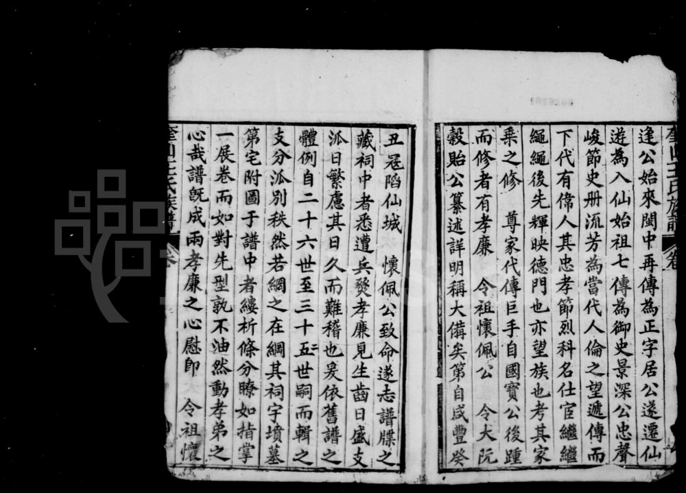 图片[2]-福建莆田仙游县奎山王氏族谱电子版PDF下载-中华家谱网